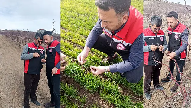 Kayseri'de zirai don uyarısı sonrasında ekipler sahada!