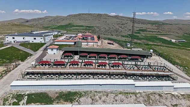 Kayseri'deki bu tesis tüm Türkiye'ye örnek oluyor!