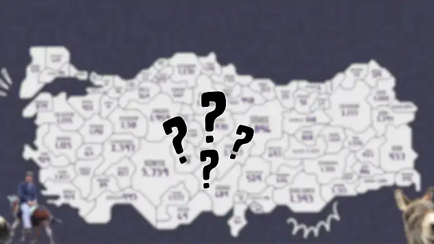 Kayseri'deki eşek sayısı ortaya çıktı!