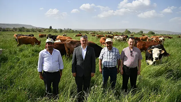 Kayseri'deki proje üreticinin yüzünü güldürdü!