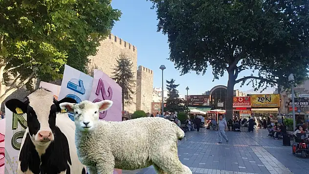 Kayseri et piyasasında 5 TL'lik dalgalanma!