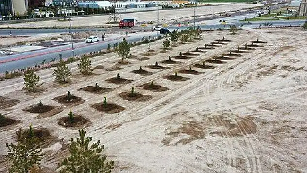 Kocasinan, ağaç dikimiyle geleceğe nefes oluyor