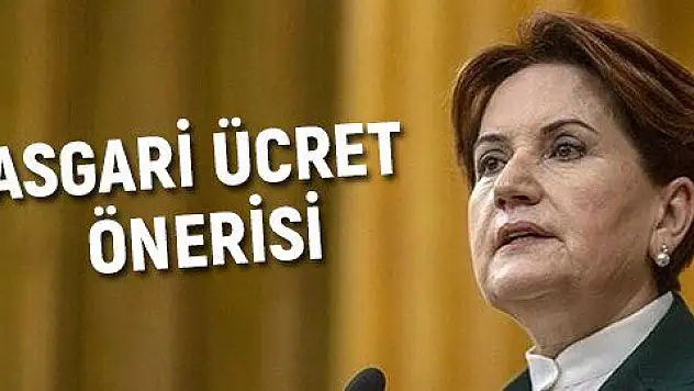 Akşener'den asgari ücret önerisi