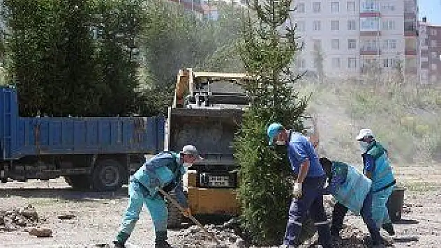 Kocasinan'da fidanlar toprakla buluşuyor