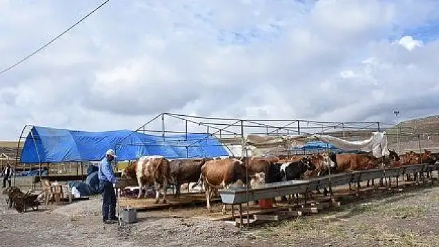 Kocasinan'ın profesyonel kurban hizmeti, çiftçilerin takdirini kazandı