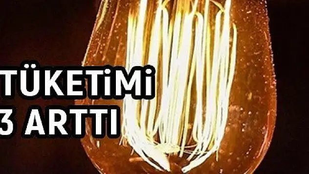 Türkiye'nin elektrik tüketimi geçen yıla göre yüzde 0,33 arttı