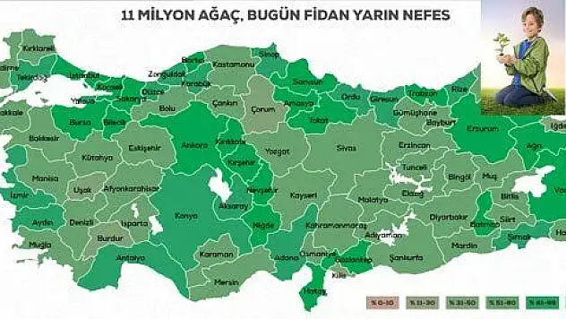 Kayseri fidanına sahip çıkmadı