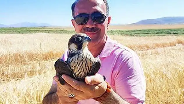 Yol kenarında yaralı buldukları doğana yardım eli uzattılar