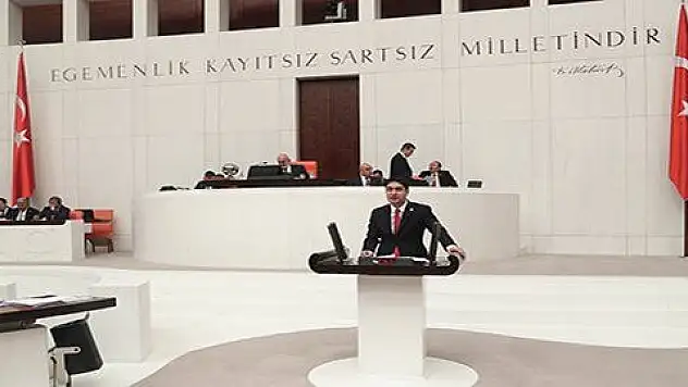 Özdemir: Vatan ne Türkiye 'dir Türklere ne Türkistan / Vatan, büyük ve müebbet bir ülkedir Turan