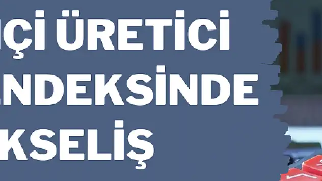 Yurt içi üretici fiyat endeksinde yükseliş