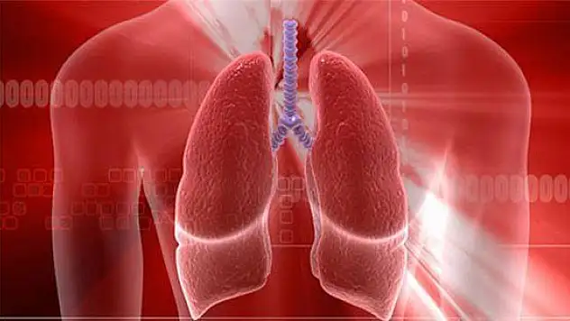 VEREME KARŞI DİKKATLİ OLUN