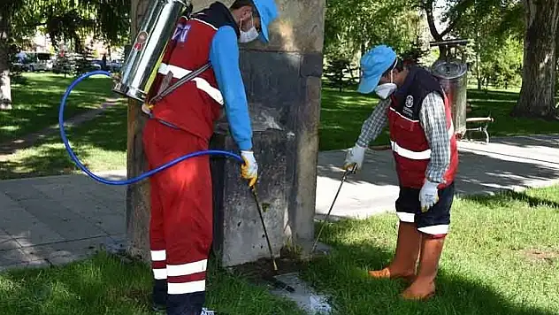 Kocasinan'da, huzurlu bir yaz için haşere ile mücadele aralıksız sürüyor