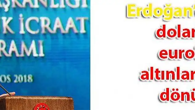 Cumhurbaşkanı Erdoğan 'dan kritik dolar çağrısı