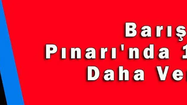 Barış Pınarı'nda 1 Şehit Daha Verdik