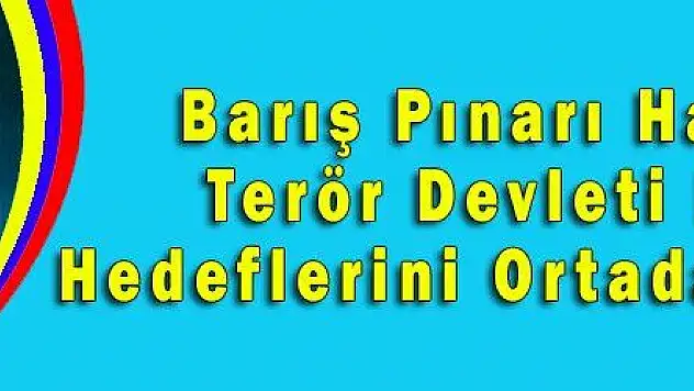 Barış Pınarı Harekatı Terör Devleti Kurma Hedeflerini Ortadan Kaldırdı