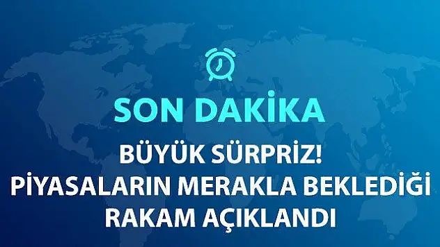 Kasım Ayı Enflasyon Rakamlarında Sürpriz