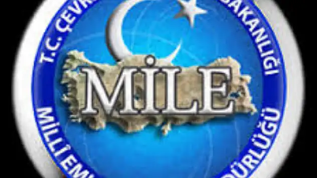 124 kamu konutu satılacak