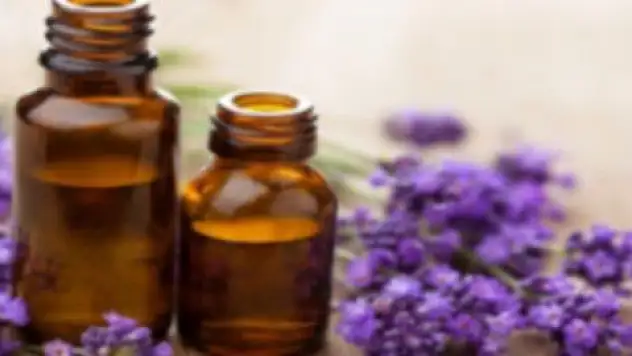 'Lavanta yağı en iyi sakinleştiricilerdendir' 