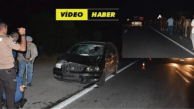 Çiftlikten kaçan atlar trafiği birbirine kattı