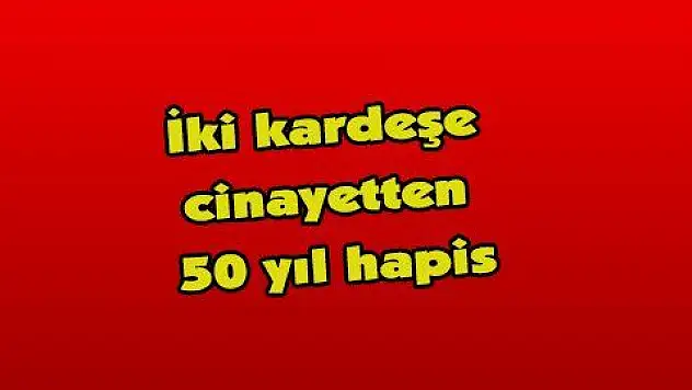 İki kardeşe cinayetten 50 yıl hapis