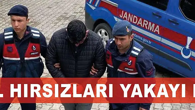 Otomobil hırsızları yakayı ele verdi