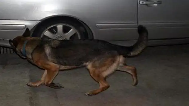 Sedef'in bulduğu eroinin satıcılarına 16'şar yıl hapis