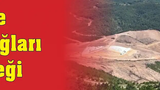 İşte Kaz Dağları gerçeği