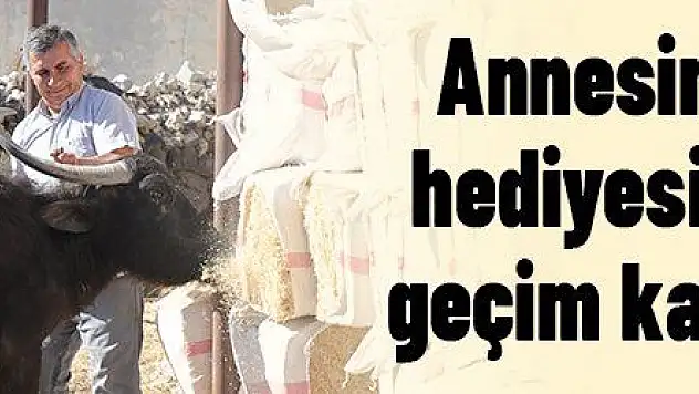 Annesi düğün hediyesi olarak aldı geçim kaynağı oldu
