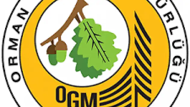 Orman Genel Müdürlüğü 5 bin geçici işçi alacak