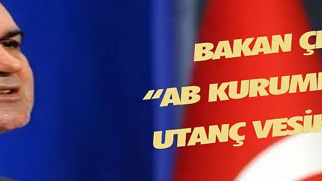 Bakan Çelik: 'AB kurumları için utanç vesikasıdır'