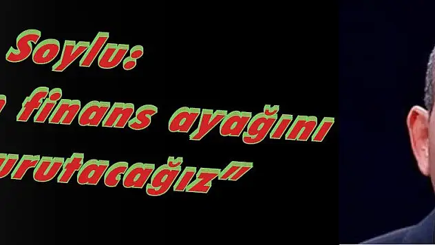 Soylu: 'Terörün finans ayağını da kurutacağız'