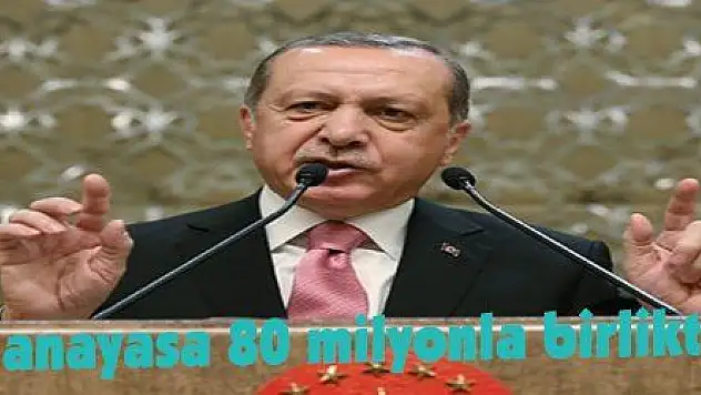 Erdoğan: 'Yeni anayasa 80 milyonla birlikte inşa edilmeli'