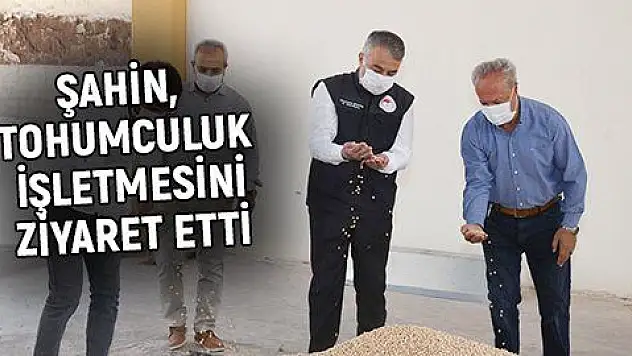 'Milli tohum üretimini destekliyoruz'