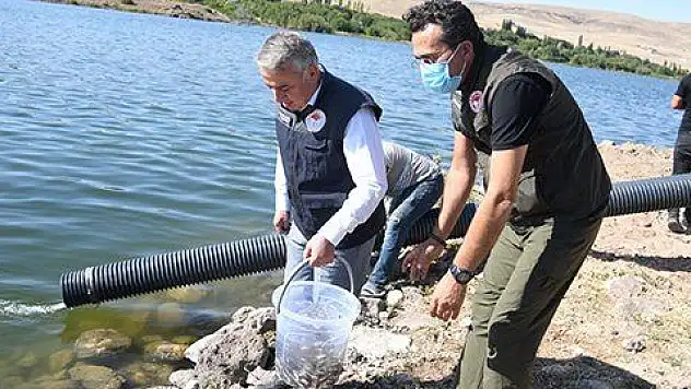 2021 yılında göl ve göletlere 678 bin yavru balık bırakıldı