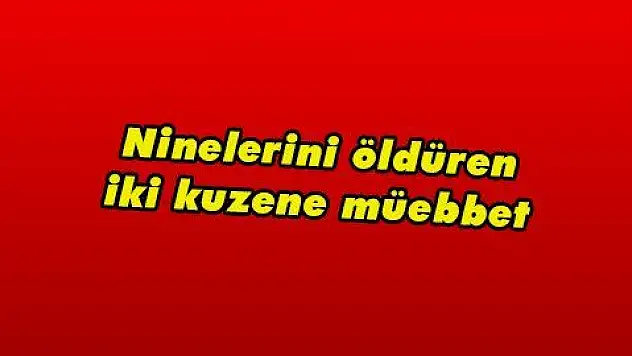 Ninelerini öldüren iki kuzene müebbet 