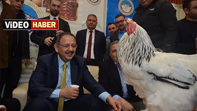 Bakan Özhaseki şampiyonu elleriyle besledi 