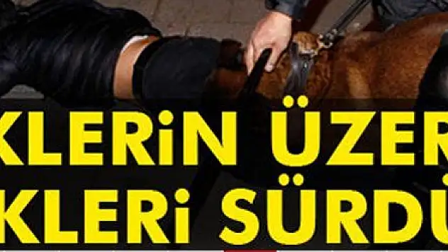 HOLLANDA'DAN ALÇAK TAVIR