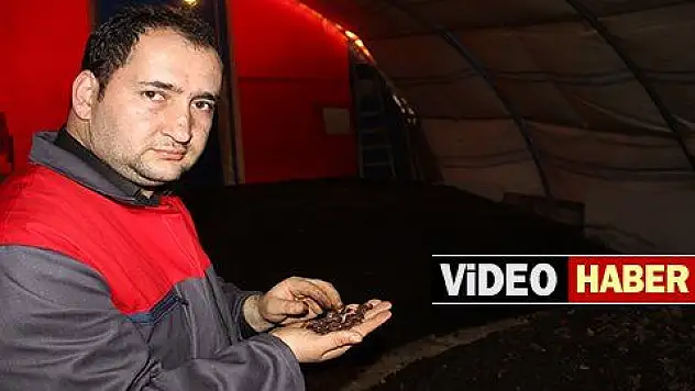 'Pis işle uğraşma' diyenlere aldırmadı, kendi işinin patronu oldu