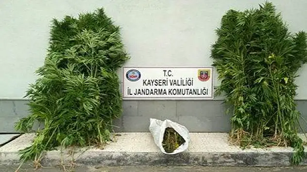 Bünyan'da esrar operasyonu