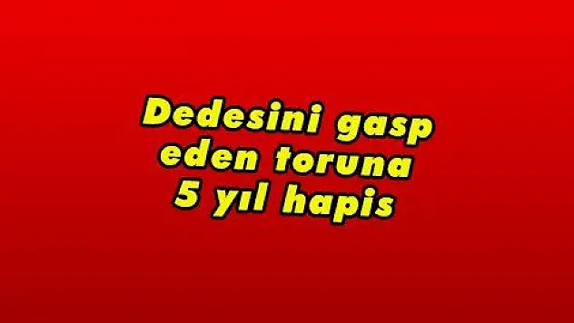 Dedesini gasp eden toruna 5 yıl hapis 