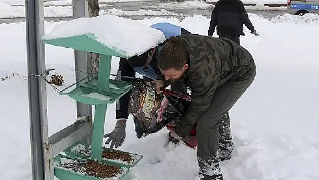 Hacılar'da yaban hayvanları için yemleme yapıldı