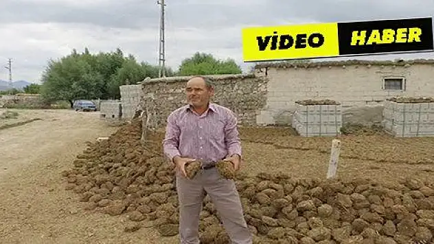 Anadolu'nun doğal gazı: Tezek 