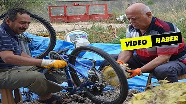 Ay çekirdeği ayıklamanın kolay yolu