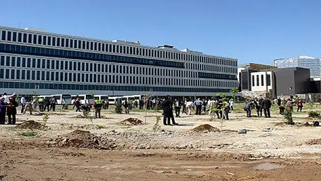 Daha yeşil Kayseri için bin adet fidan dikildi 