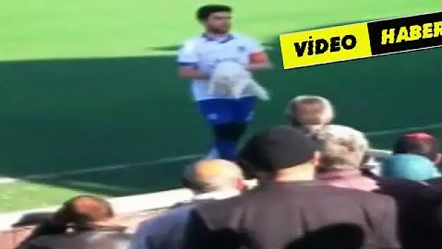 Sahibine ulaşmak isteyen kedi sahanın içine girdi