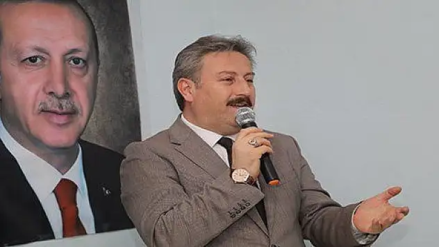 Palancıoğlu'ndan Mimarsinan için proje