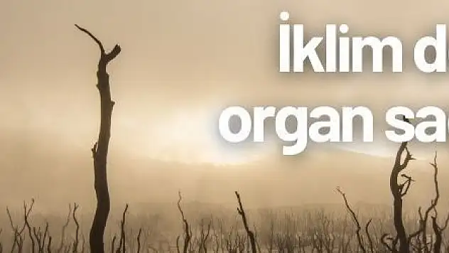 İklim değişikliği organ sağlığını da etkiliyor 