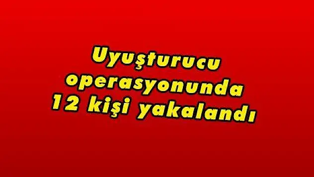 Uyuşturucu operasyonunda 12 kişi yakalandı 