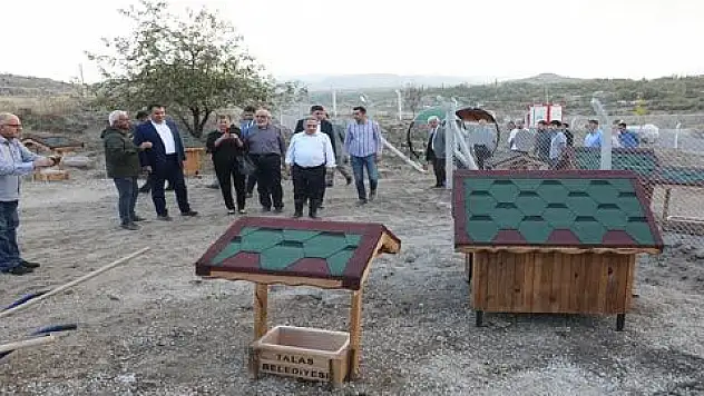 'PATİ KÖY' AÇILIYOR