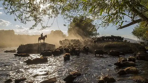 Mandaların gün sonu banyosu görsel şölen sunuyor